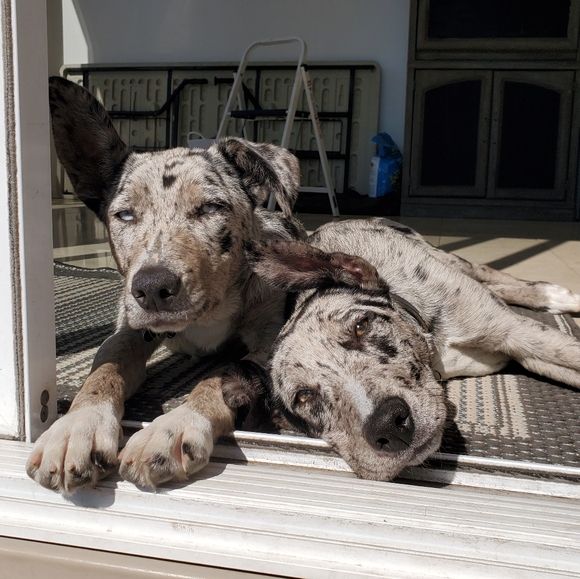 🦋11/6 -Frogprincess01 IS LIVE! W/heather1976p - LOW STARTS & 50%Off Closet - Picture 5 of 16